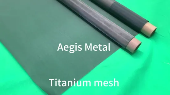 Reasonable Structure Pure Titanium Base Electrode 100g/H Naclo Sodium Hypochlorite Electrolyzer