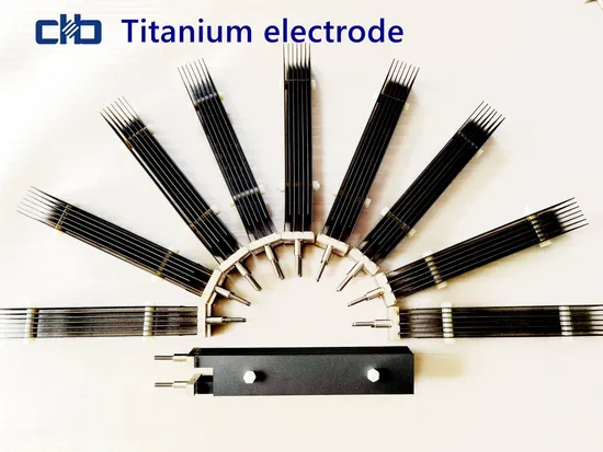 The Titanium Electrode Set of The Salt